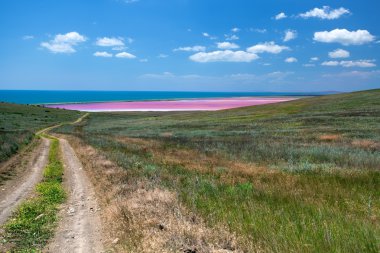 Road to the sea coast and pink mud lake clipart