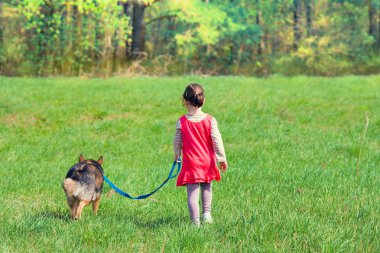 kız ve köpek çim üzerinde