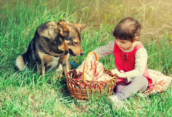 Little girl with dog — Stock Photo, Image