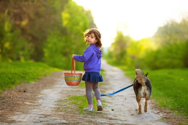 Menina andando com cão — Fotografia de Stock