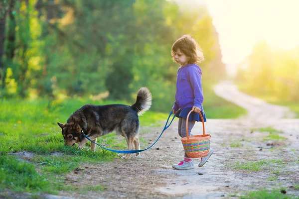 Flicka promenader med hund — Stockfoto