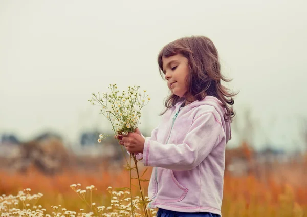 Girl on meadow — Stock Photo, Image