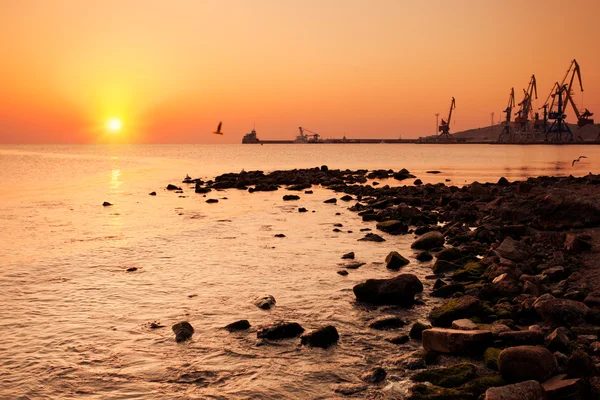 Schöner Sonnenaufgang in der Hafenstadt — Stockfoto