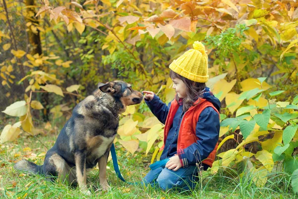 Girl playing with dog in the forest — Stock Photo, Image