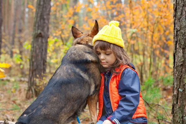 Üzgün küçük kız ormanda büyük köpekle — Stok fotoğraf