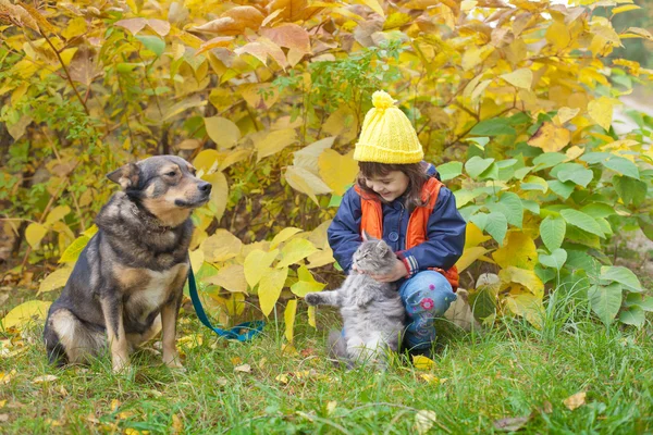 Gadis bermain dengan anjing di hutan — Stok Foto