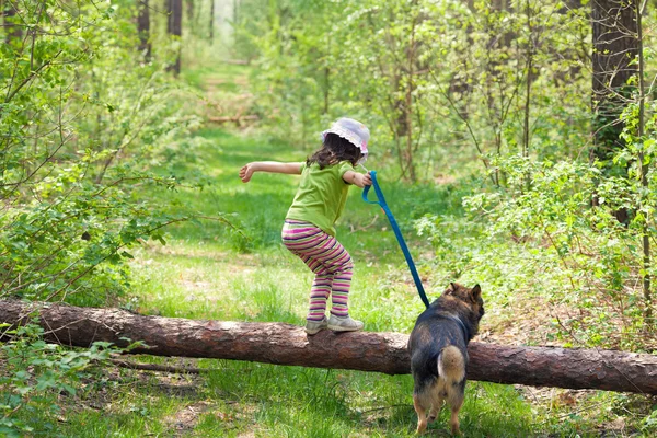 Kleines Mädchen mit ihrem Hund beim Springen — Stockfoto