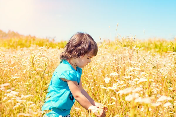 Petite fille cueillant des fleurs dans la prairie — Photo