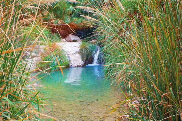 Litet vattenfall i ein gedii oas — Stockfoto