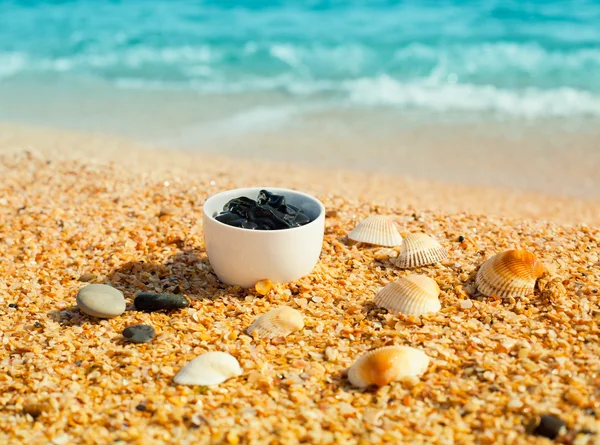 Dead Sea mud on the beach — Stock Photo, Image