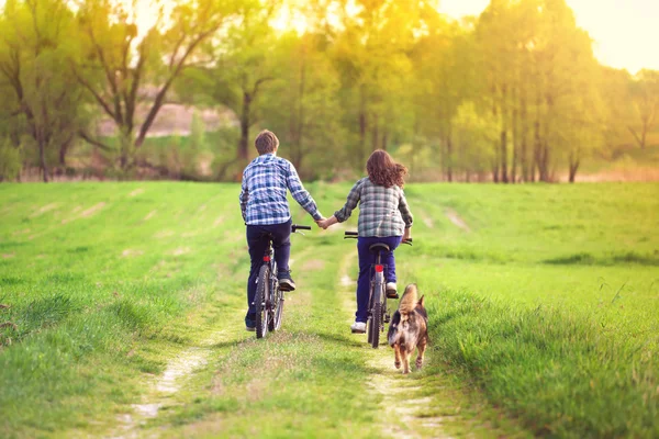 Joven feliz pareja andar en bicicleta — Foto de Stock