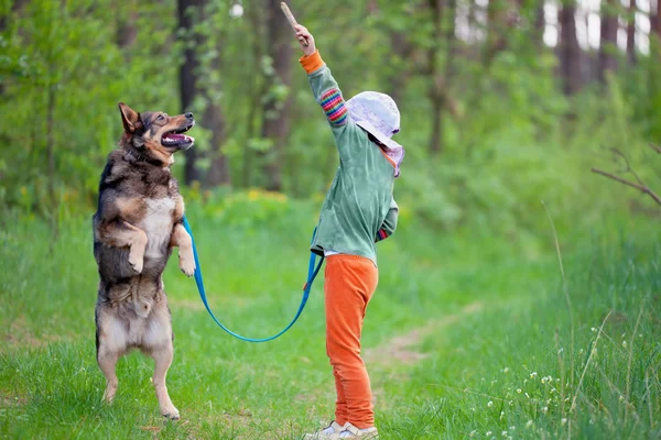 Kleines Mädchen schult Hund im Wald — Stockfoto