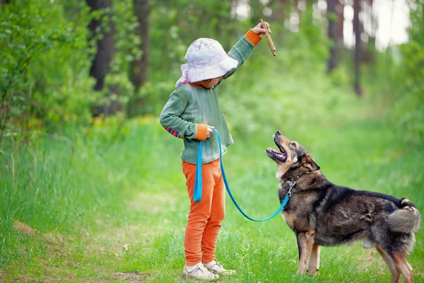 Bambina scolarizzazione cane nella foresta — Foto Stock