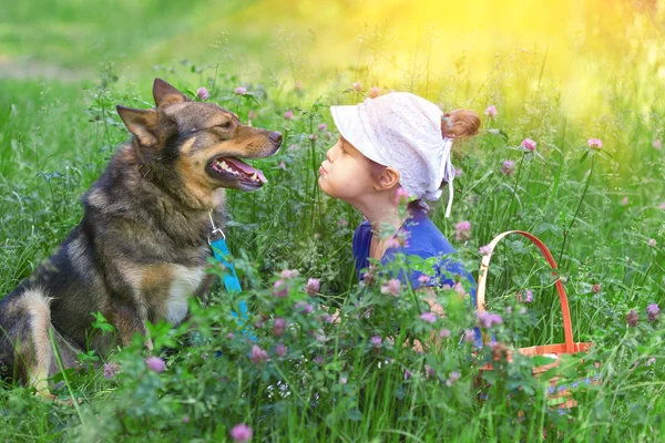 Little girl and dog sitting in the clover lawn — Stock Photo, Image