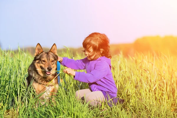 Little girl walking with dog in the meadow — Stock Photo, Image