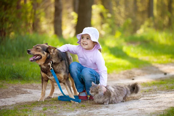 Chica con perro grande y gato en el bosque — Foto de Stock