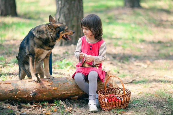 Kleines Mädchen mit Hund beim Picknick — Stockfoto