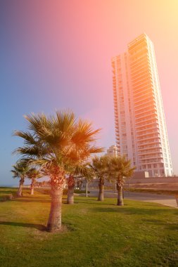 doğarken netanya şehir