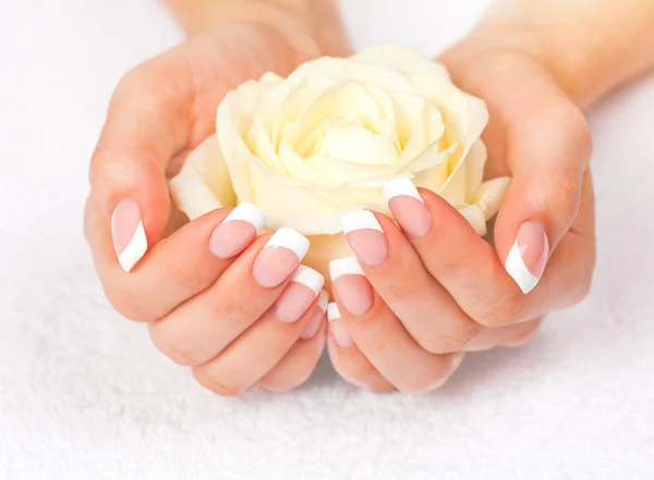 Mãos femininas com manicure francês — Fotografia de Stock