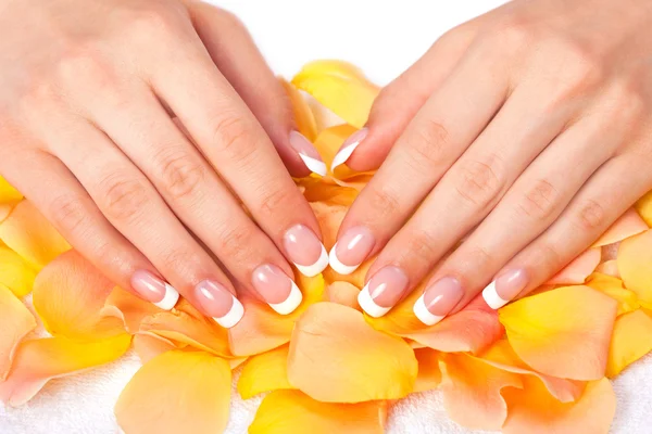 Kobiece ręce z francuskim manicure — Zdjęcie stockowe