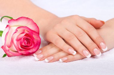 Woman's hands with french manicure clipart