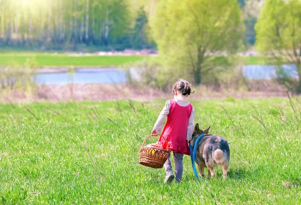 Fille marche et aller pique-niquer avec chien — Photo