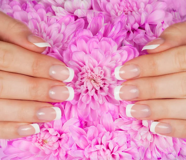 Mão de mulher com manicure francês — Fotografia de Stock