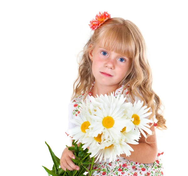 Niña con un montón de manzanillas —  Fotos de Stock