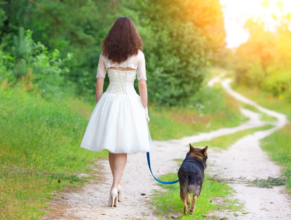 Невеста гуляет с собакой — стоковое фото