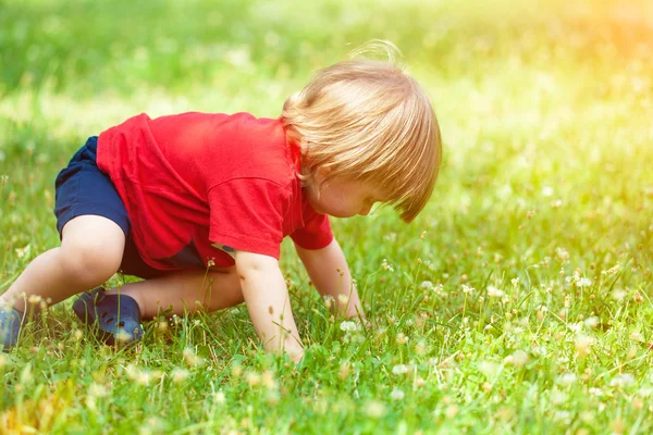 Rapaz rastejando na grama — Fotografia de Stock