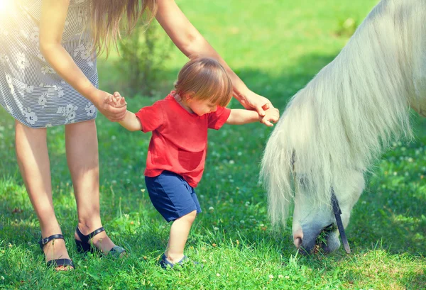 Little boy and horse — Stock Photo, Image