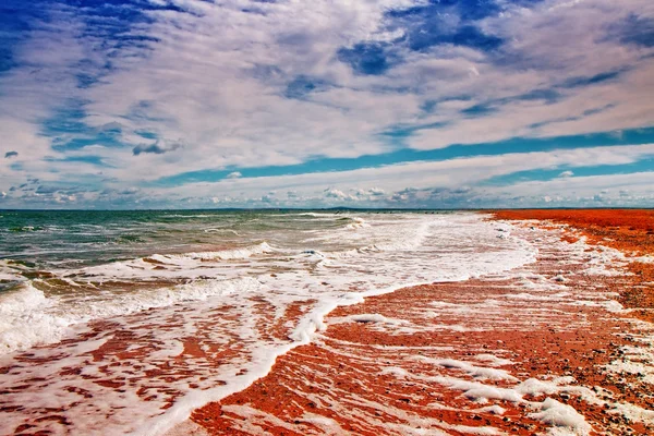 Güzel çöl Plajı — Stok fotoğraf