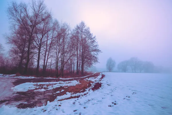 Ländliche Winterlandschaft Dorf Einem Nebligen Wintertag Das Feld Ist Mit — Stockfoto