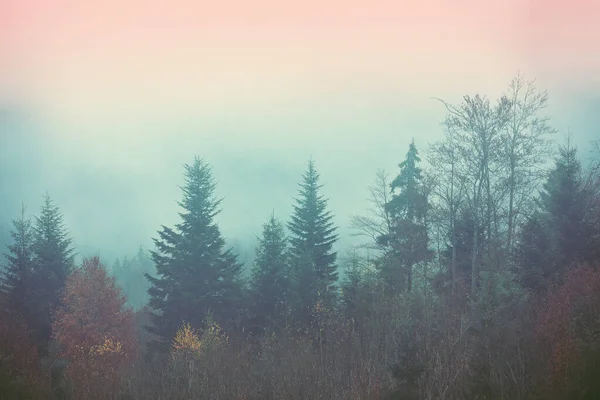 Foggy Morning Mountains Fantastic Mountain View Clouds — Stock Photo, Image