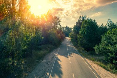 Akşamları ormanda asfalt yol