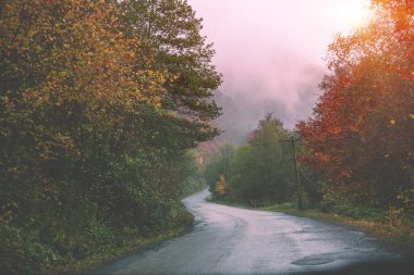 Dar, dolambaçlı bir dağ yolunda araba sürüyorum. Karpatlar. Ukrayna