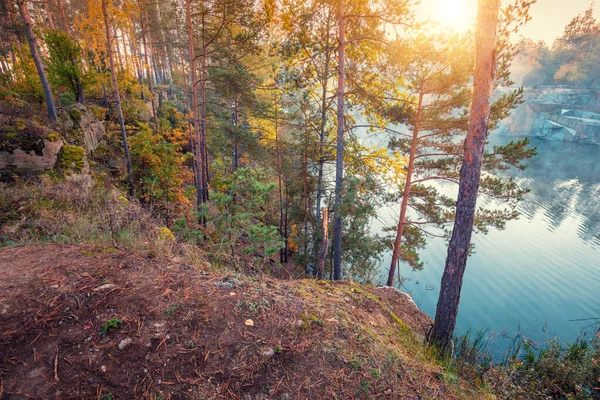 Гірська Річка Лісі Скелястими Берегами Світанку Каньйон Восени — стокове фото
