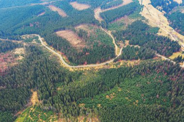 Sonbaharda dağın kıvrımlı yolundan manzarayı seyret. Karpat Dağları. Ukrayna