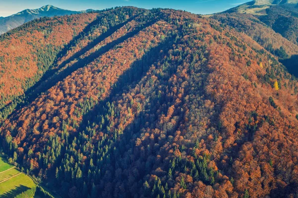 Αεροφωτογραφία Πολύχρωμες Πλαγιές Των Βουνών Μια Ηλιόλουστη Μέρα Του Φθινοπώρου — Φωτογραφία Αρχείου