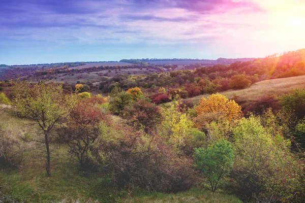 Blick Auf Bunte Hügel Herbst Schöne Naturlandschaft Ukraine — Stockfoto