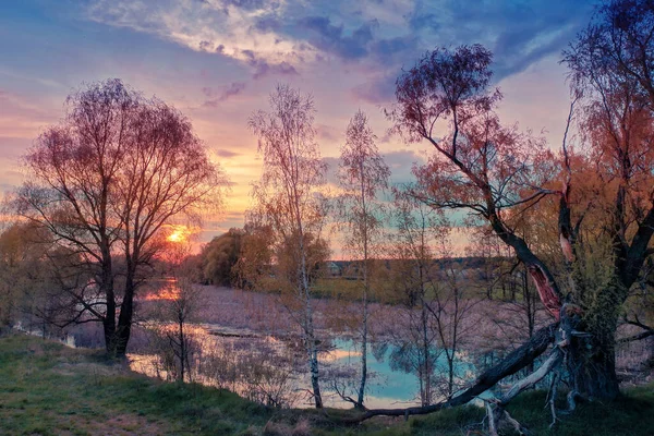 Puesta Sol Sobre Lago Lago Sereno Noche Primavera Naturaleza Paisaje — Foto de Stock