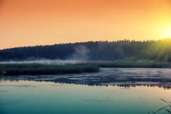 Рано Утром Восход Солнца Над Озером Летний Сельский Пейзаж — стоковое фото