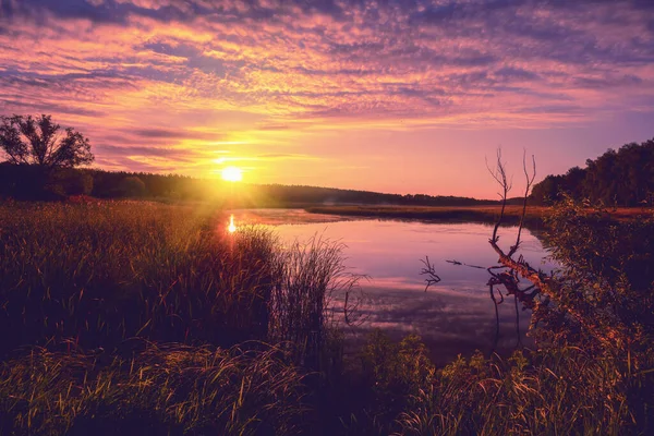 Manhã Cedo Nascer Sol Sobre Lago Paisagem Rural Verão — Fotografia de Stock