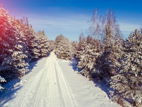Camino Bosque Invierno Día Soleado Árboles Cubiertos Nieve Naturaleza Invernal — Foto de Stock