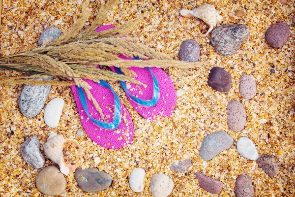 Strand Scene Een Paar Slippers Sandalen Liggend Zee Coquina Schelpen — Stockfoto