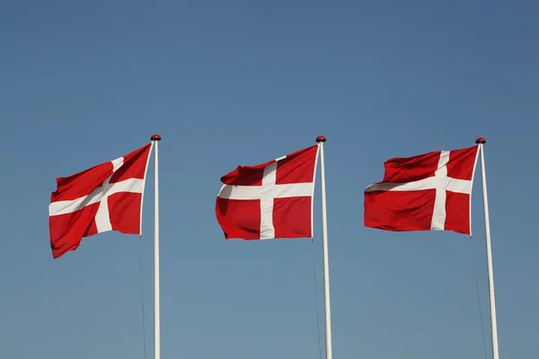 Flags of Denmark — Stock Photo, Image