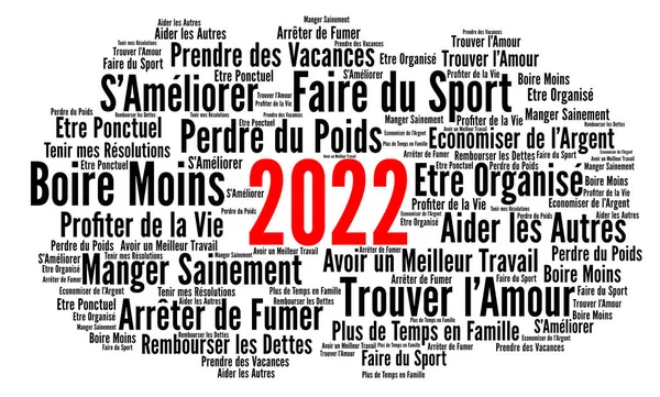 解決策2022フランス語でワードクラウドの概念 — ストック写真