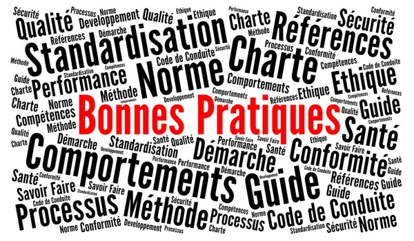 Best Practice Word Cloud Called Bonnes Pratiques French Language — Stockfoto