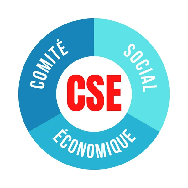 Komite Sosial Dan Ekonomi Prancis Menyebut Comite Social Economique Dalam — Stok Foto