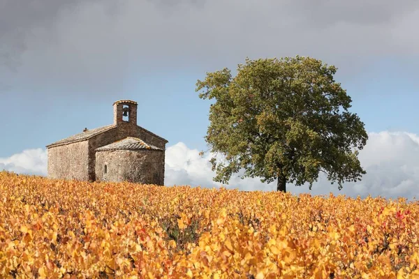 Autumnal Landscape Chapel Saint Pierre Beaujolais France — Zdjęcie stockowe